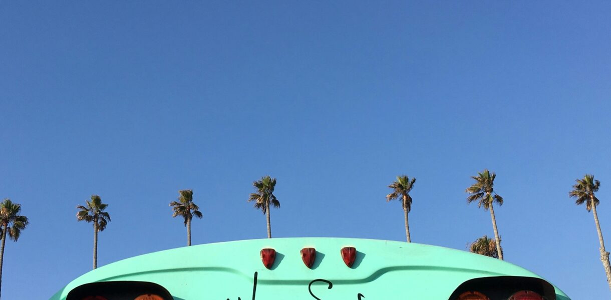 ciel bleu, palmier, bus vert sur lequel est écrit "Never stress"