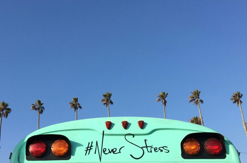 ciel bleu, palmier, bus vert sur lequel est écrit "Never stress"